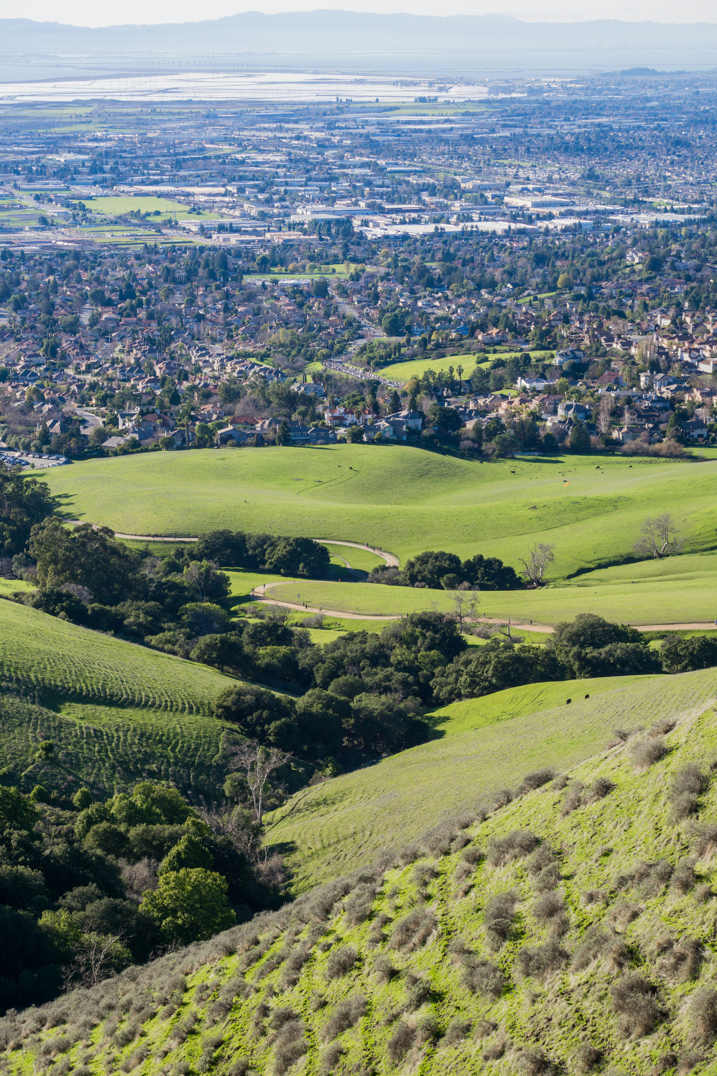 Fremont City Full Landscape